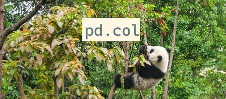 随着Pandas 3.0版本即将发布,表达式语法的引入为Python数据科学领域带来了全新的可能性。这一创新不仅优化了代码的可读性和可维护性,还解决了传统lambda函数带来的众多问题,为数据分析师提供了更加高效且直观的编程体验。本文深入解析Pandas表达式的原理、优势及应用场景,助力读者掌握新时代数据处理技能。
