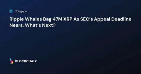 XRP News Today: Whales Focus On Ripple as SEC’s Appeal Decision Nears - CoinGape