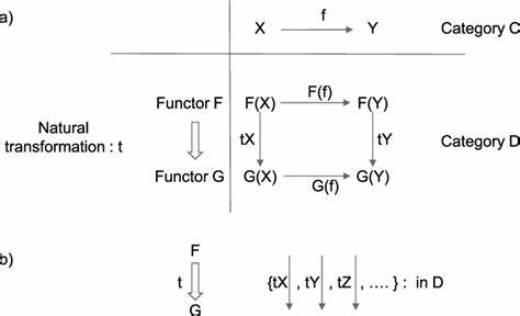 深入解析自然变换的直观含义、形式定义与编程实例,结合范畴等价、自然同构与组合规律,帮助读者在数学与计算机科学中将范畴论的抽象概念转化为可理解的工具
