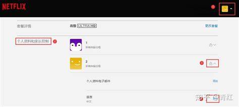 详细介绍Netflix如何投屏到智能电视、投影仪等设备,帮助用户实现多屏互动和提升观影体验的实用技巧与注意事项。涵盖多种投屏方式和设备兼容建议,助力用户无缝切换到大屏观看Netflix。
