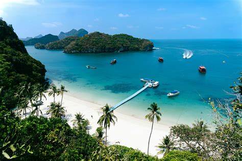 全面解析免费股票照片及其在数字内容创作中的重要性,帮助创作者、高校教育者、营销人员等轻松获得高质量免版权图片,提升内容表现力,优化搜索引擎排名。
