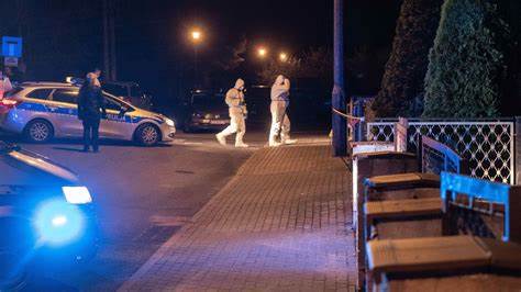 一起震惊社会的火车上杀人事件引发了公众对乘车安全和法律保护的深刻反思,本文深入探讨案件细节、社会影响以及预防类似事件的可能措施。
