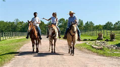 The Ranch度假村位于南非林波波省,提供多样化的户外探险、文化体验及休闲活动,助您打造难忘的假日回忆,无论是家庭旅游、团队建设还是个人放松,都是理想的选择。
