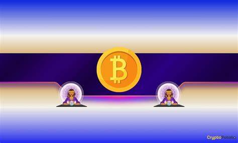 随着比特币价格逐步进入一个关键的前狂热阶段,市场正呈现出重要的上升信号。本文深入分析最新的链上数据和价格走势,揭示比特币或将迎来新一轮爆发式上涨的潜力,同时探讨短期风险与中长期投资机遇。
