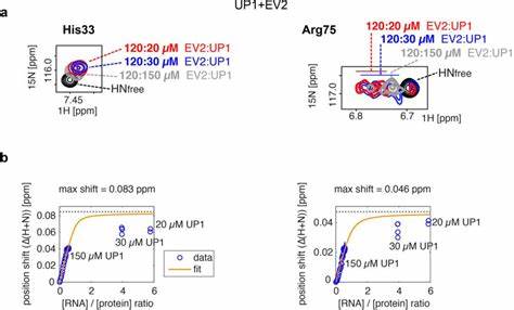深入探索Signal Snapshot这款创新的浏览器工具,了解如何通过上传和处理你的Signal数据文件,生成个性化的数据可视化图表,保护隐私的同时全面分析你的聊天记录。本文详解工具的使用方法、安全性及其背后的开源精神,为Signal用户提供数据洞察的新视角。
