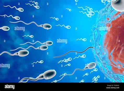 探索精子竞速的进化机制、实验方法、临床应用与公众文化现象,解析科学发现与伦理争议的交汇点
