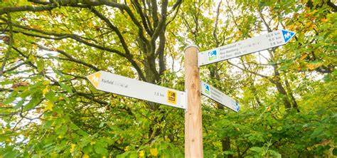 莱茵黑森地区正迎来徒步旅游的新热潮,五条全新Hiwweltouren徒步路线即将于2026年开放,涵盖自然风光、文化历史与葡萄酒美食,是徒步爱好者和旅游探险者的天堂。本文深入介绍全新路线的独特魅力、地理位置及未来的旅游前景。
