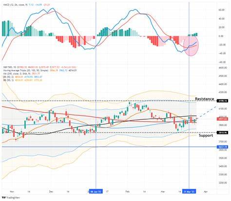随着2025年股市的强势反弹,历史数据再次验证了大盘涨幅超过31%后的持续看涨趋势,这为投资者提供了难得的买入机会和投资信心。本文深入剖析市场波动背后的买入信号、历史走势与个股表现,帮助投资者抓住未来潜力股,优化资产配置。
