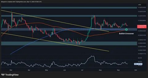 瑞波币(XRP)在经历一段平稳整固后,展示出强劲的价格基础,为未来可能创下新的历史高点奠定了坚实的基础。通过对USDT和BTC交易对的技术分析,本文深入探讨XRP的市场表现与潜在突破趋势,为投资者提供详细洞见。
