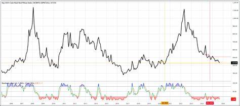 全面探讨当前谷物市场的真实供需状况,结合最新数据与行业动态,为投资者和农户提供有价值的市场洞察和趋势分析。
