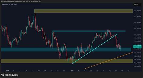 本文深入分析比特币近期价格走势,结合技术面与市场情绪,探讨BTC是否会在本周跌破11万美元关键位置,帮助投资者把握市场脉搏并制定合理交易策略。
