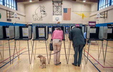 Vote: Cast. 🗳️ Facebook: Working again. 🙏 - USA TODAY