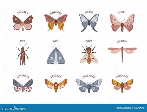 探讨人们在副业项目上停滞不前的深层心理与行为模式,剖析舒适区与恐惧如何影响创业决策,揭示十二个月思考障碍背后的系统性原因,并提出突破困局的实用策略以助力从构想到行动的转变。
