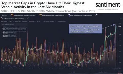 Whale Activity Surge: 70M ADA Moved as Grayscale Files for Cardano ETF - The Currency Analytics