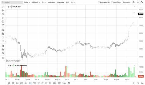 随着人工智能浪潮的不断推进,背后的关键基础设施和支持行业迎来了前所未有的发展机遇。本文深入分析两只在AI行业中具备核心竞争力且受益于市场需求激增的'采矿工具'类股票,揭示其未来增长潜力和投资价值。
