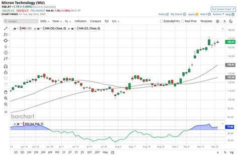 本文深入分析了美光科技(Micron Technology)近年来的强劲表现及其在人工智能和数据中心领域的市场优势,探讨了推动其股价上涨的核心动力与未来潜力,帮助投资者全面了解为何持续持有美光股票(MU)是明智之选。
