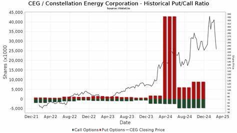 围绕Jefferies将康斯特莱申能源(NASDAQ: CEG)目标价从293美元上调至347美元并继续给予"持有"评级的背景、核心驱动因素、财务与运营要点、风险与机会进行深入解析,帮助投资者理解估值调整的来源与未来可能的价格路径。
