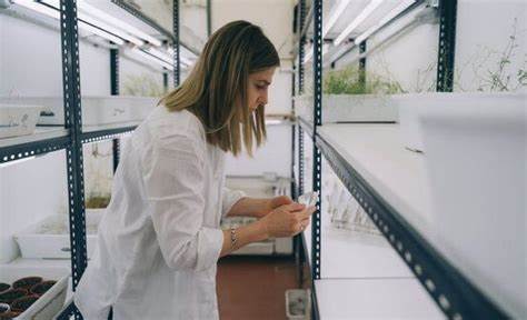 农业技术创新不断推动农业生产力提升。一家名为Unibaio的初创公司利用虾壳废弃物开发出肥料和农药添加剂,帮助植物更好地吸收养分和农药成分,显著提升作物产量和农业效益。该创新不仅促进了农业绿色发展,也实现了废弃物的高效循环利用。
