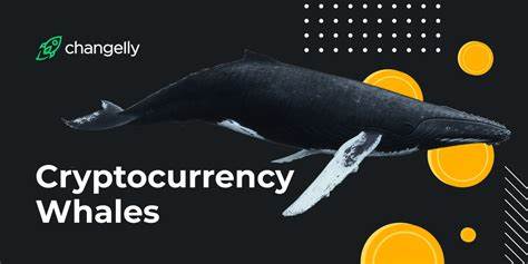 Bitcoin and Ethereum Whales Are Dumping Coins at A Loss, Will Support Levels Hold? - ZyCrypto