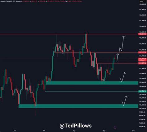 比特币在经历价格调整后,再次显示出强劲的市场需求和上涨动力,市场分析师预测其价格将在未来数周内创造新的历史最高点。随着11.7万美元期货缺口被填补,比特币市场的牛市信号愈发明确,机构资金的大量流入和潜在的利率调整成为推动投资者信心的关键因素。本文深入解析当前比特币市场动向,解读价格突破背后的技术和基本面因素,为投资者提供有价值的市场洞察。
