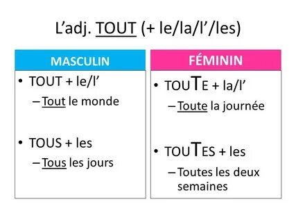 深入介绍裸颈鸡的不同品系、主要表型与遗传机制,比较与普通家鸡的相似与差异,并提供针对性养殖与防护建议,兼顾科学研究与实际应用
