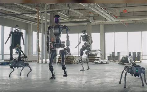 探索全体型机器人大脑的突破性发展,揭示其如何通过多体形态训练实现机器人在复杂环境中的自我适应与持续进化,推动机器人技术进入智能自适应新时代。
