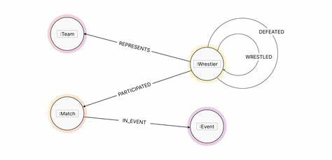 从比赛对阵到选手迁移,图数据库能够以关系为中心保存摔跤数据的复杂性,帮助分析社群结构、评估选手影响力并揭示传统表格难以发现的故事。

