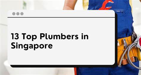 深入解析新加坡顶级水管工服务,结合真实客户评价,助您轻松找到高效、可靠且价格合理的专业水管维修专家。了解如何通过UnkerList平台一站式筛选、比较与联络最合适的水管工,满足各类家居和商业管道需求。
