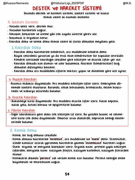 了解微软Yardım Alın应用程序如何为Windows 10用户和其他微软产品用户提供快捷、免费的技术支持。本文深入解析微软虚拟代表的功能及应用,帮助用户轻松解决各种技术难题。
