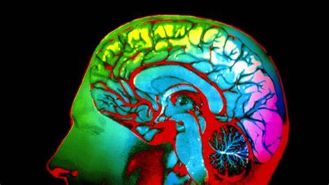 色彩感知一直是人类交流和认知的重要组成部分。最新的神经科学研究表明,不同个体的大脑对相同颜色的反应模式有惊人相似之处,然而主观体验却可能存有差异。这揭示了色彩感知的复杂性和大脑处理机制的奇妙,为理解色觉差异和进化优势提供了新的视角。

