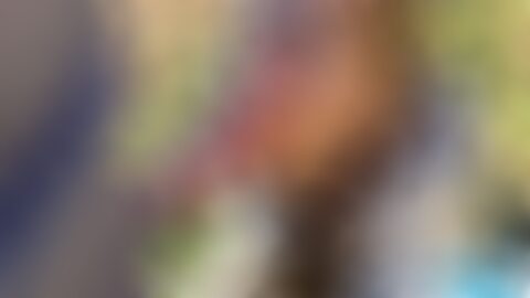 围绕关键词"xxx"在成人视频网站XVIDEOS上的搜索现象,探讨平台特性、用户隐私与安全、法律合规以及面向站长与内容创作者的SEO与运营策略,帮助读者在尊重法律与伦理的前提下做出信息化决策。
