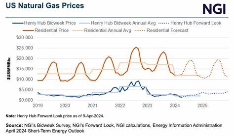 随着美国能源信息署(EIA)最新库存数据的公布,天然气市场迎来显著波动。本文从市场供需、气象因素、生产动态及全球供给等多个角度深入解析天然气价格的变化及其背后的驱动因素,帮助读者全面理解天然气市场现状与未来趋势。
