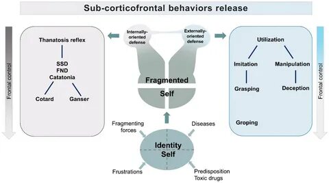 功能性神经障碍(FND)是一种复杂而常被误解的神经系统疾病,本文深入探讨其形成的关键临界点,从生物、心理和社会多维角度解析病因及恢复路径,助力患者和护理者获得更多科学认知与希望。
