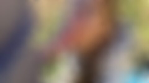 深入解析YouPorn与XVIDEOS:成人视频网站的现状、风险与合规运营策略
