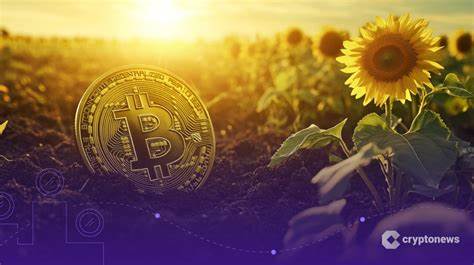 Ukraine is considering partnering with Binance to create a national strategic Bitcoin reserve