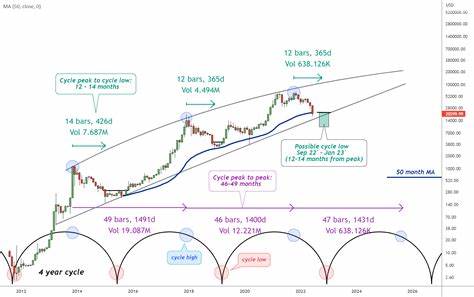 Bitcoin falls over 20% from January peak, Will crypto market rebound? - The Times of India