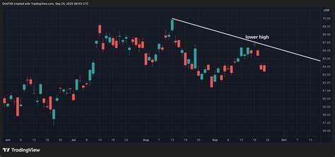 近期贝莱德(BlackRock)推出的比特币现货交易所买卖基金(ETF)IBIT,经历了连续两个月的看跌情绪,市场对其未来走势表现出较大谨慎态度。本文深入解析IBIT的价格表现、期权数据以及市场趋势,帮助投资者全面把握当前比特币ETF的投资风险与机会。
