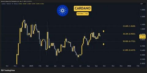 深入剖析Cardano(ADA)近期价格动态,探讨关键支撑与阻力位,结合技术指标走势,展望未来一周ADA价格可能的变动趋势,助力投资者把握市场机遇。
