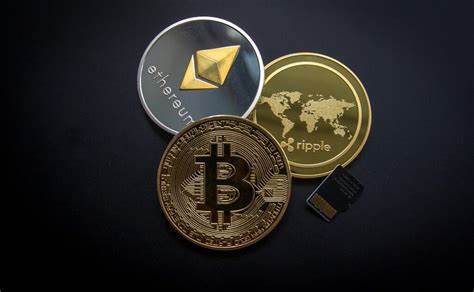 Delhi HC Denies Bail in Rs 50 Cr Cryptocurrency Scam, Citing Flight Risks