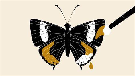 揭开1947年科林·怀亚特盗窃澳大利亚珍稀蝴蝶标本的真相,以及这一事件如何对现代蝴蝶分类学产生深远影响,促进科学界对博物馆藏品真实性的重新审视。
