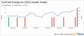 Benchmark Co.最近重申对SunCoke Energy, Inc.(SXC)的买入评级,并设定了13美元的价格目标,凸显了该公司在煤炭行业内的强劲潜力和未来增长前景。尽管面临短期挑战,SunCoke Energy通过战略收购和项目开发展现出韧性,为投资者提供了新的机会。本文深入剖析SunCoke Energy的现状、未来动向及其在煤炭市场中的地位,为投资者提供专业且详实的市场洞见。
