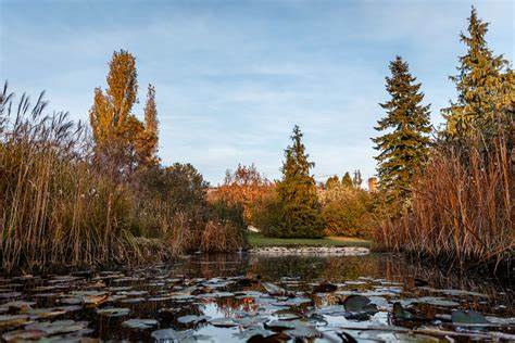 深入剖析2026年匈牙利最受关注的新闻事件,涵盖政治、经济、社会、文化等领域的最新动态,带您全面了解匈牙利当前的热点话题和舆论焦点。
