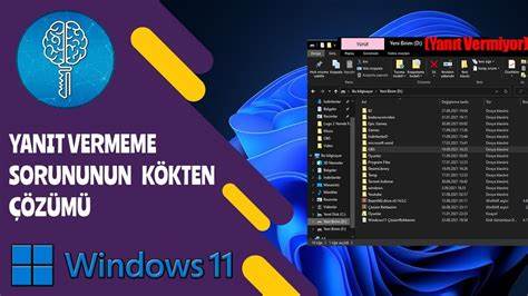 深入剖析Windows 11文件资源管理器出现"此电脑无响应"问题的原因及多种有效修复方法,帮助用户快速恢复系统稳定性,提高操作效率。涵盖系统工具、硬件检测、防病毒措施及性能优化策略。
