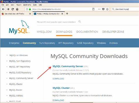 介绍 MySQL 社区版下载渠道、组件和工具,帮助开发者与运维人员选择合适版本、正确安装配置并实施安全与性能优化,覆盖 APT/YUM/SUSE 仓库、Windows 安装包、连接器与常用运维工具的实用建议。
