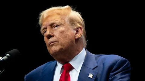 'Well, It's Crypto, It's AI, It's Some Of The Other Things,' Says Donald Trump, Unsure Of What His New Crypto Project Even Is - Benzinga