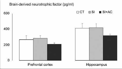 研究表明,乳酸输注能够显著提升人体血液中前脑源性神经营养因子(pro-BDNF)的浓度,模拟高强度运动对大脑的部分积极影响。此发现为无碍于运动的群体提供了潜在的脑健康新路径,同时强调了高强度运动在促进脑功能方面的重要性。
