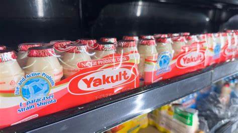 养乐多在荷兰瓦赫宁根校园设立欧洲研发单位,借助当地科研生态与欧盟市场优势,推动益生菌与功能性食品的本地化开发、合规性研究与全球化创新布局,为公司应对业绩下滑和市场多元化挑战提供新路径
