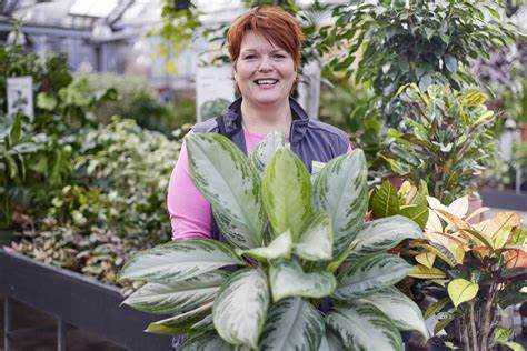 探讨职场内私人植物养护的管理权归属及其涉及的劳动关系、企业规章与员工权益,解读相关法律判例并分析实际操作中的注意事项,帮助企业和员工更好地理解与协调办公室绿色植物管理。
