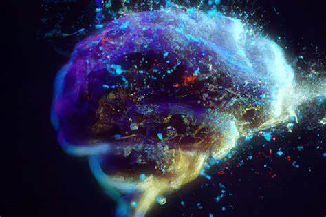 How does your brain know something is real? Brain blends imagination and reality
