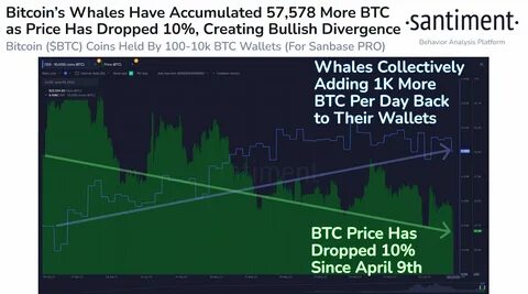 Crypto Traders Are Hunting a $521 Million Bitcoin Whale—Here's Why